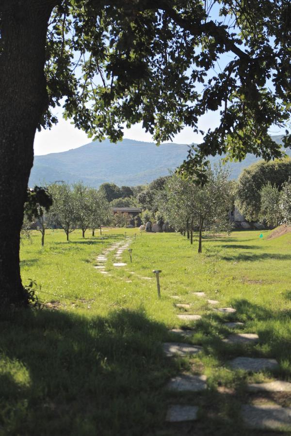 Willa Casa Legna Pigna Zewnętrze zdjęcie